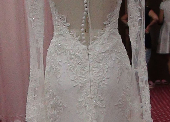Modest Soft Lace Mermaid Style Wedding Dress With Long Sleeves Appliqued Decor