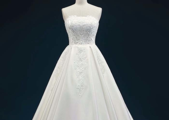 Netand Satin Champagne Bridal Ball Gowns For Ladies Strapless Multi Color Optional